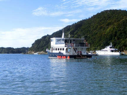abeltasman (27)